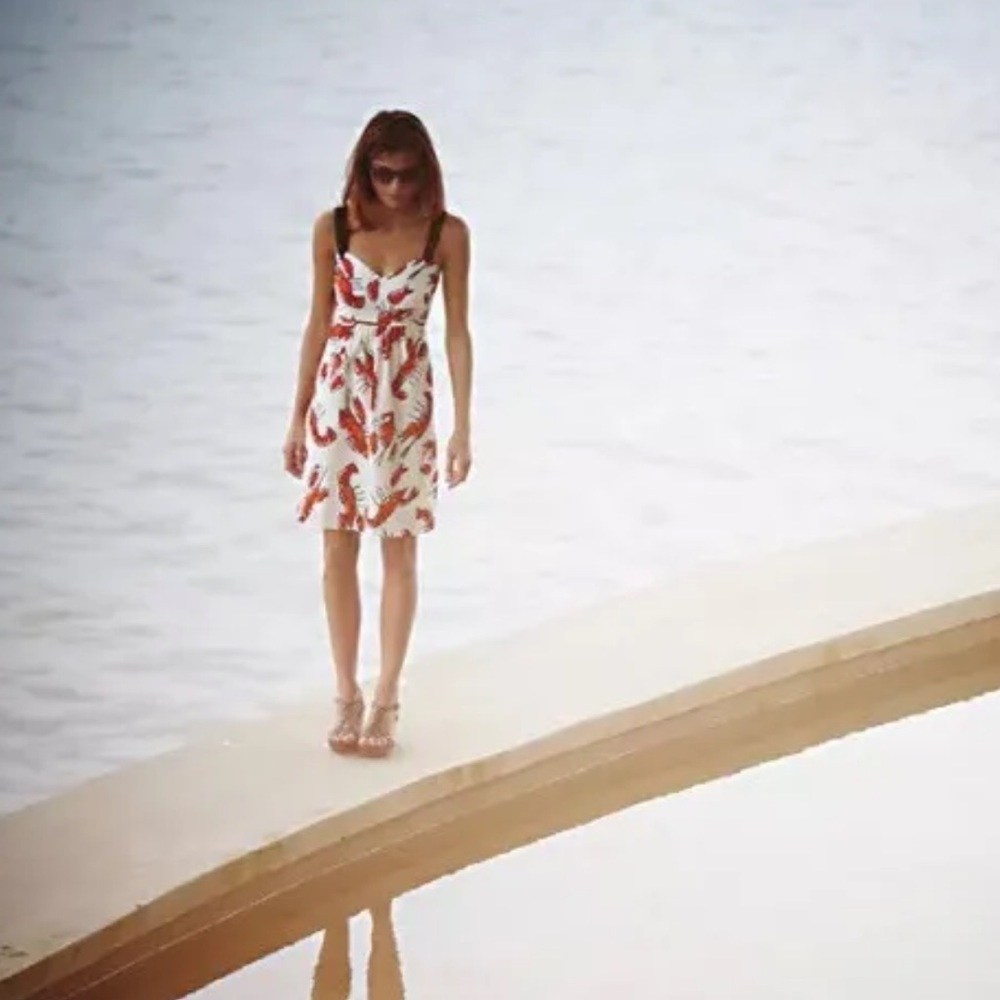 Anthropologie White Mini Dress with Red Leaf Print